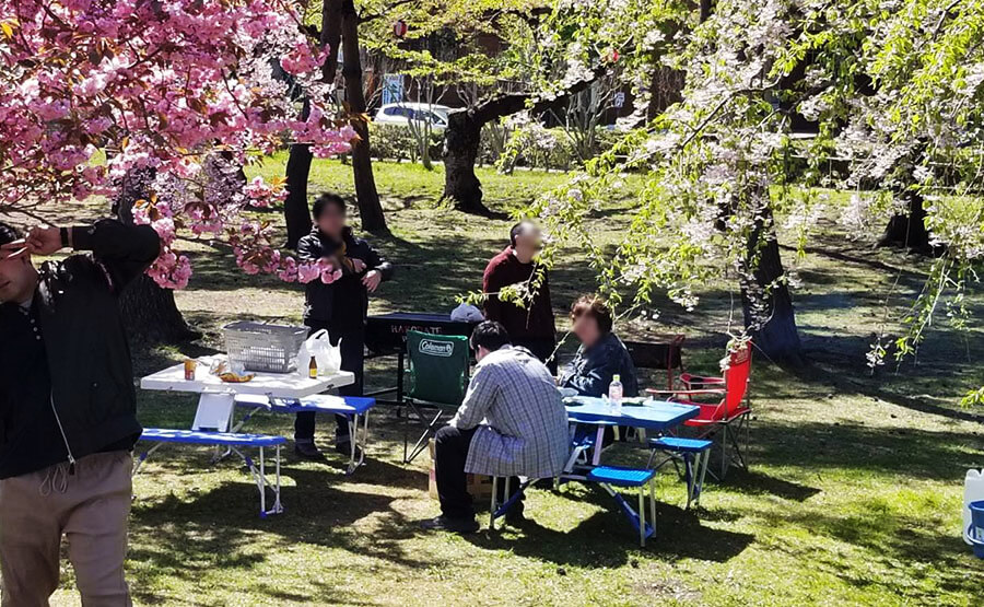 お花見⑦